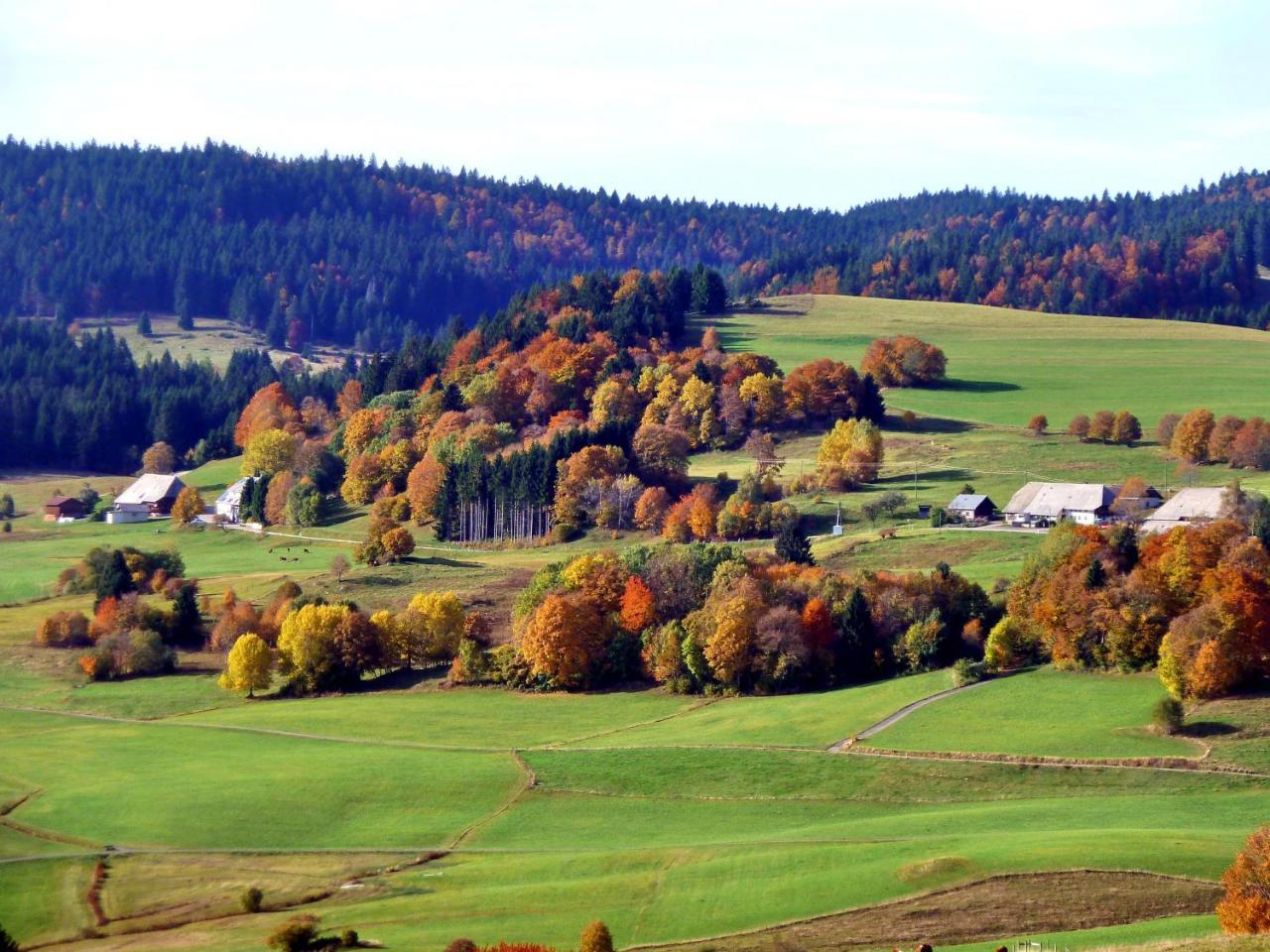 Ferienhotel Schwarzwaelder Hof Feldberg Kültér fotó