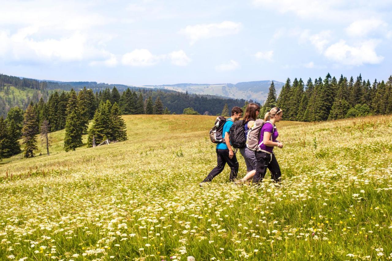 Ferienhotel Schwarzwaelder Hof Feldberg Kültér fotó