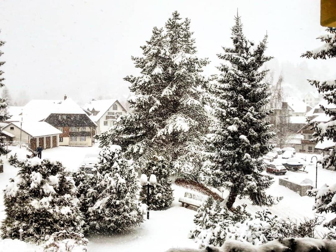 Ferienhotel Schwarzwaelder Hof Feldberg Kültér fotó